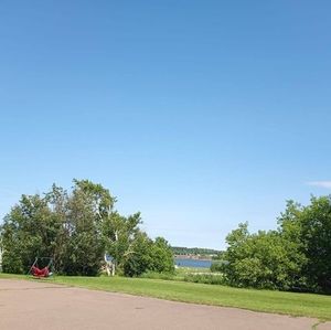 Meet your Posher, Aline